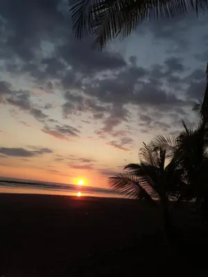 a sunset on the beach with a palm tree at A 2 minutes de la PLAGE chambre du bonheur CABALLO DEL MAR in Parrita