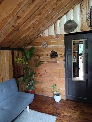 a living room with wooden walls and a blue couch at Cabaña de montaña Queca in Poás