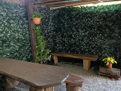 a green wall with two wooden benches and plants at Cabaña de montaña Queca in Poás
