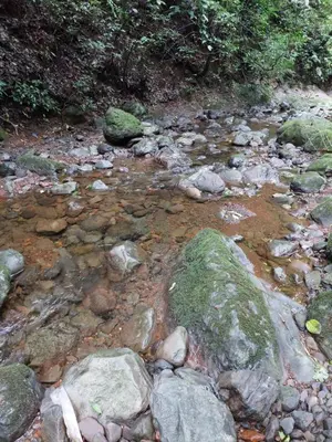 a stream of water with rocks in a forest at Cabaña de montaña Queca in Poás
