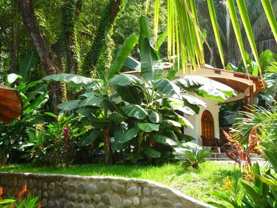 a garden with a house with a bunch of plants at Manala Hotel in Santa Teresa Beach