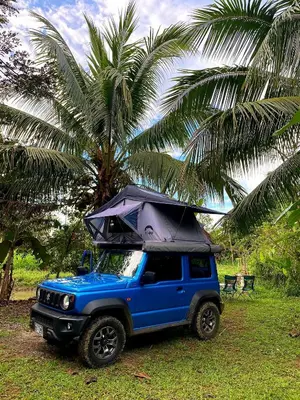 a blue jeep parked in front of a palm tree at La Muñequita Lodge 2 - culture & nature experience in Palmar Sur