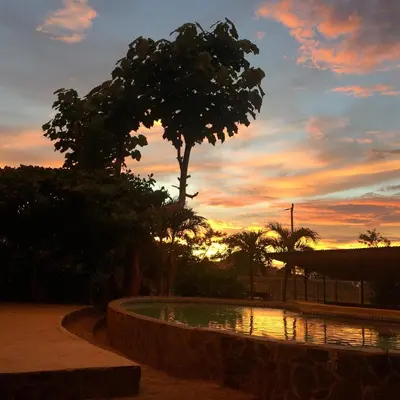 a sunset with a tree and a pond in a park at Beautiful Second Story Apartment 202 Next to Playa Flamingo in Playa Flamingo