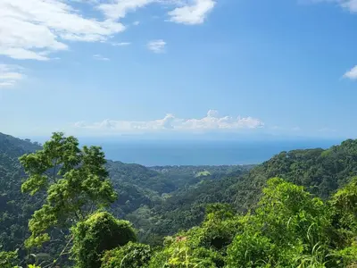 a view of the ocean from a mountain with trees at Jaco-Carara 3 bdrm surrounded by rainforest with private pool in Carara