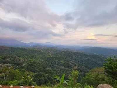 a view of auliculiculiculiculiculiculiculiculiculiculiculic at Jaco-Carara 3 bdrm surrounded by rainforest with private pool in Carara