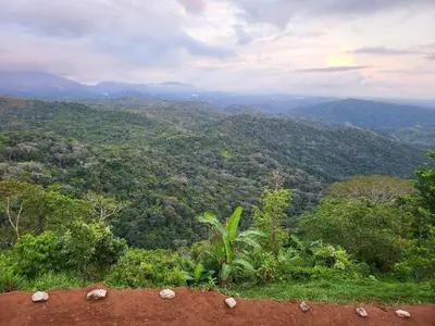 a view of a valley with trees and mountains at Jaco-Carara 3 bdrm surrounded by rainforest with private pool in Carara