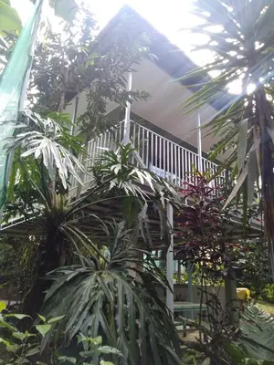 a house with a white railing and some plants at Hospedaje Rio Celeste Katira, Habitación privada in San Rafael