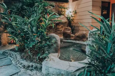 a small pond in a garden with plants at Elegant Villa in La Fortuna with spacious backyard plus very private pool & parking in Fortuna