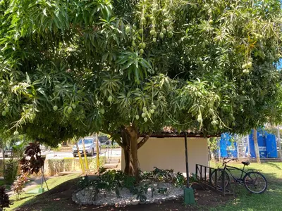 Gallery image of Tucan Studio Ocotal in Coco