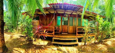 a small house in the middle of a forest at Ocean Forest Ecolodge in San Pedrillo