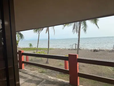 a view of a beach with palm trees and the ocean at Hotel La Roca del Mar in Puntarenas
