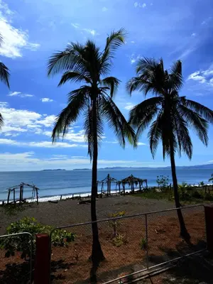 two palm trees on a beach with the ocean at Hotel La Roca del Mar in Puntarenas