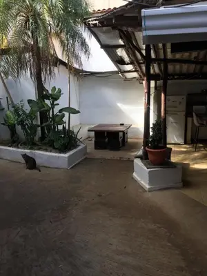 a patio with a picnic table and palm trees at Pura Vida Hostel in Tamarindo
