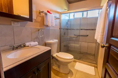 a bathroom with a shower and a toilet and a sink at Barons Resort in Atenas