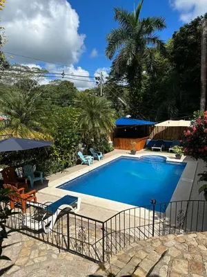 a swimming pool in a resort with chairs and trees at Hospedaje Colibri in Manuel Antonio