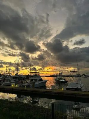 a group of boats docked at a marina at sunset at Hospedaje Colibri in Manuel Antonio