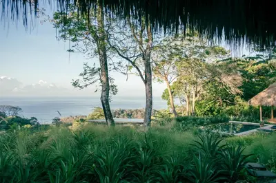a view of the ocean from a resort with trees at THEA Resort & Retreats - Santa Teresa in Santa Teresa Beach
