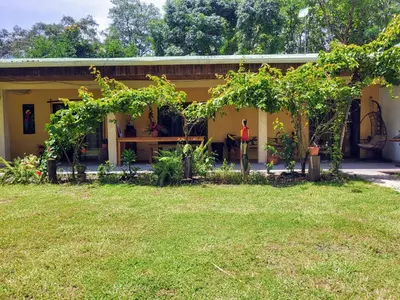 a small yellow house with a green yard at Villas Playa Palo Seco in Parrita
