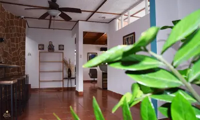 a living room with a ceiling fan and a plant at Trebol Amarillo Bed & Breakfast in Escazu