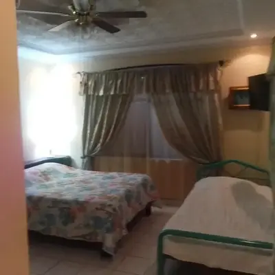 Alexander b&b