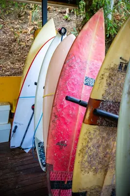 a group of surfboards lined up next to each other at Pura Vida Mini Hostel Santa Teresa in Santa Teresa Beach