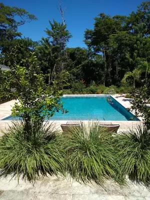 a swimming pool in a yard with plants at Palm Beach Inn in Playa Grande