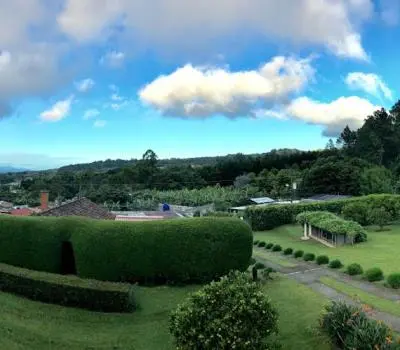 a garden with bushes and trees on a field at Coffee Garden Ranch Costa Rica in Concepción
