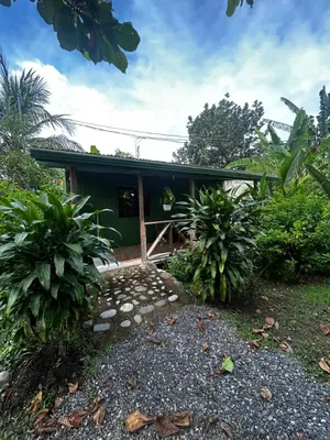 a house with a green facade and some plants at Ballena Oasis Homes & Glamping in Uvita