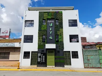 a building with a plant on the side of it at Fully-equipped 2-bedroom apartment in San José in San José