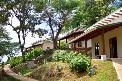 a garden in front of a house with trees at Tarcoles Birding Lodge in Tarcoles