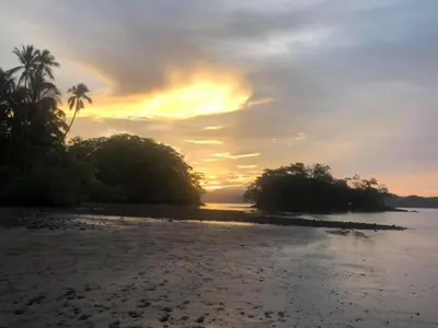 a sunset on a beach with trees and the water at Donde Familia Manito in Paquera