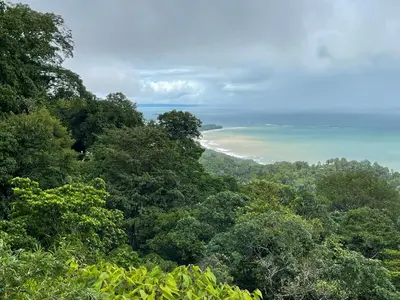 a view of the ocean from a forest of trees at ACHIOTÉ Architectural Gem - Adults Only in Uvita