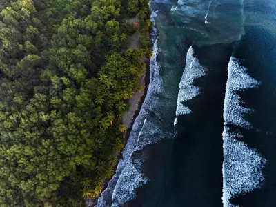 an aerial view of the ocean and a beach at ACHIOTÉ Architectural Gem - Adults Only in Uvita