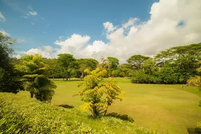 a green field with a tree in the middle at Veranda 6F 2 bdr Garden View in Los Suenos in Herradura