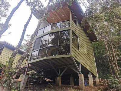 a tree house in the middle of the forest at Casas Clusia in Monteverde Costa Rica