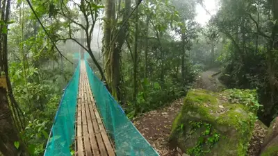 a hammock in the jungle in the rainforest at Sweet Jungle in Quesada