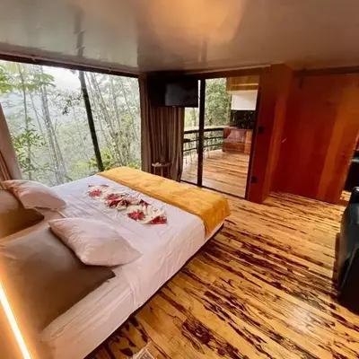 Sweet Jungle