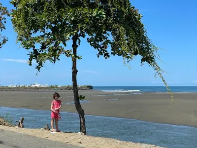 a girl standing next to a tree on the beach at Cabinas Chazu #2 in Quepos