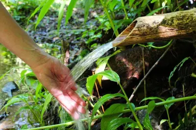 a person pouring water from a wooden practition at Bungalows Baobab in San Isidro
