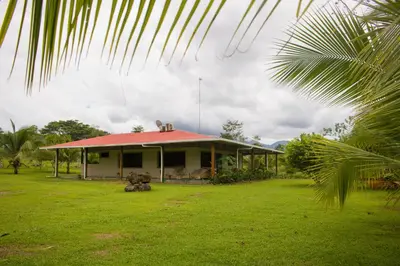 a house with a red roof on a green field at Green House in Samen