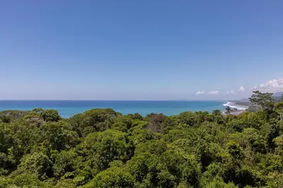 a view of the ocean from the top of a forest at Casa Solaz - by Pura Villas in Dominical