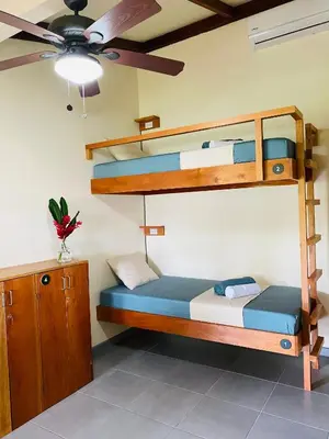 a bedroom with two bunk beds and a ceiling fan at El Hostel del Patio in Tortuguero
