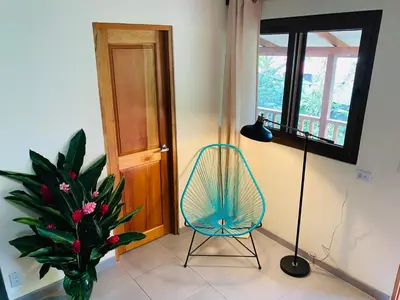 a room with a chair and a plant and a window at El Hostel del Patio in Tortuguero