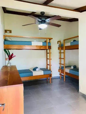 a room with three bunk beds and a ceiling fan at El Hostel del Patio in Tortuguero