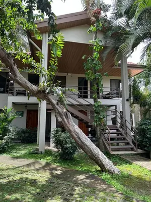 a tree fallen on the side of a house at Brillasol Airport Hotel in Alajuela City