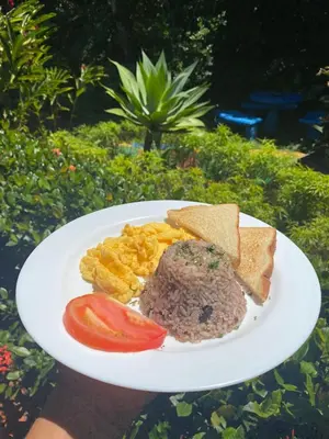 a plate of food with meat and chips and tomatoes at Brillasol Airport Hotel in Alajuela City