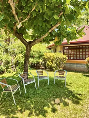 four chairs and a table under a tree at Hotel Villa Acacia in Playa Hermosa