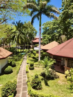 a pathway through a garden with a palm tree at Hotel Villa Acacia in Playa Hermosa