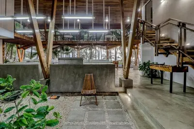 a room with a chair and some plants at Mangue House in Playa San Miguel