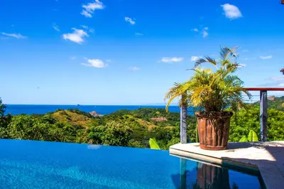 a palm tree in a pot sitting next to a pool at Luxury Home with Views and Infinity Pool Near Beach! in Puerto Viejo